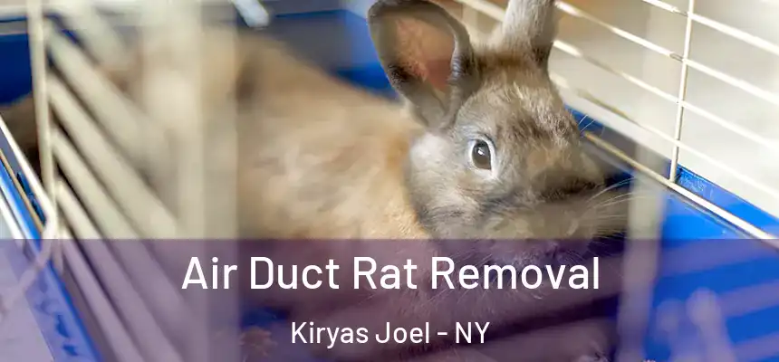  Air Duct Rat Removal Kiryas Joel - NY