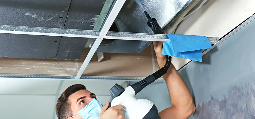 Our Air Duct Rodent Removal Services in Kiryas Joel, NY