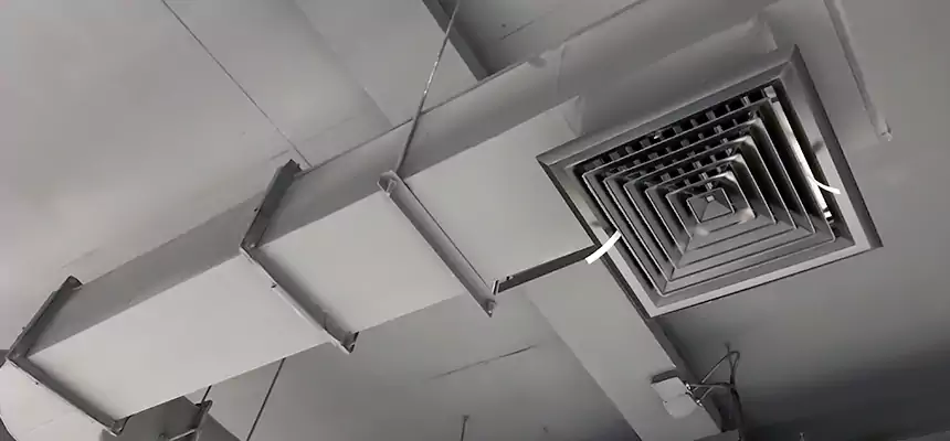 Our Pest Removal From Ducts Services in Kiryas Joel, NY