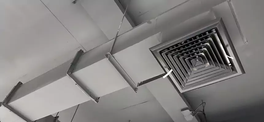 Our Rodent Droppings In Vents Services in Kiryas Joel, NY