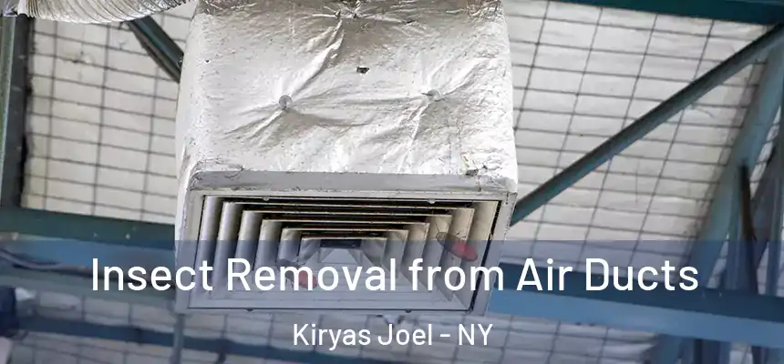  Insect Removal from Air Ducts Kiryas Joel - NY