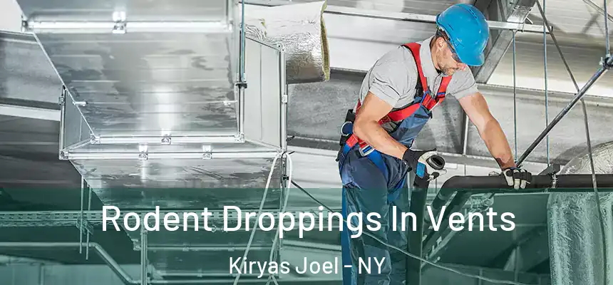  Rodent Droppings In Vents Kiryas Joel - NY