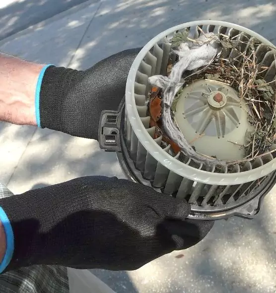 About Air Duct Mice Removal in Kiryas Joel, NY